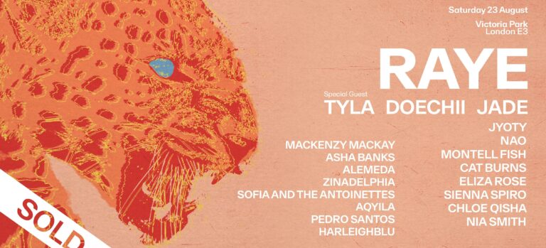 Raye website 1 min